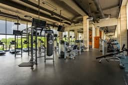 Modern 2BR Playacar | Huge Pool | Gym | Free Bikes