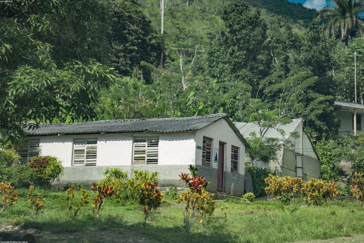 San Martín or Playa del Carmen? A Comparison for Investors